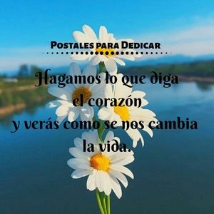 Meet your Posher, Virginia